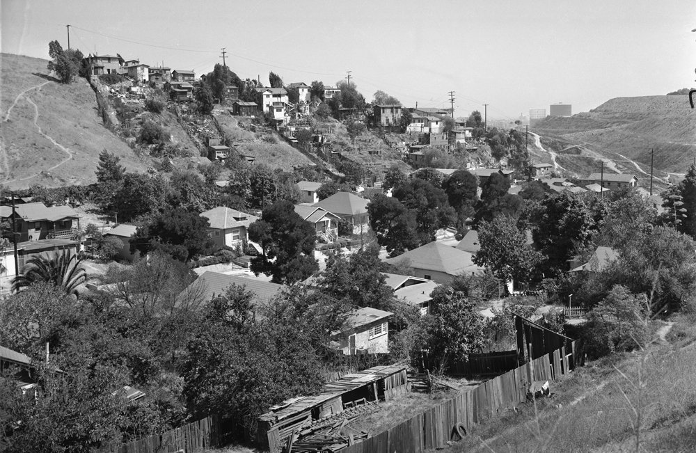 Essays Common Edge essays-common-edge