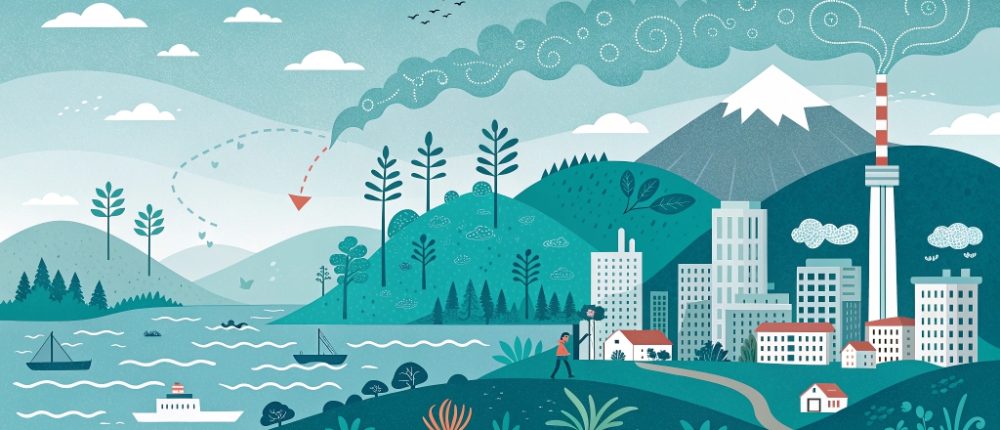 carbonshed illustration