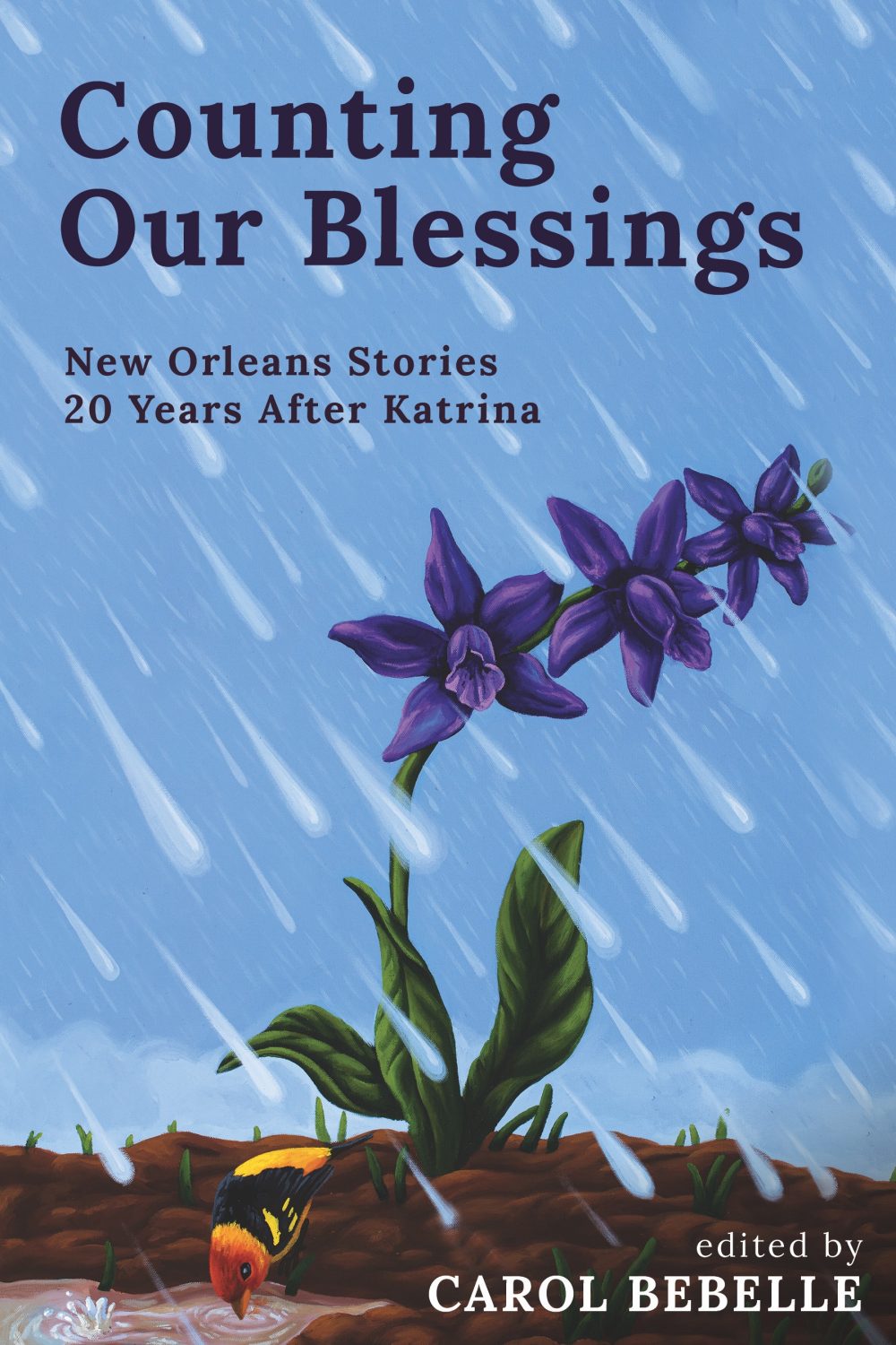 FINALCOVER-CountingOurBlessings smaller