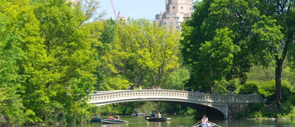 Screenshot 2026-01-30 061232