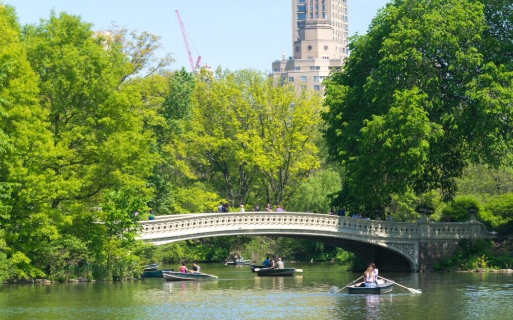 Screenshot 2026-01-30 061232