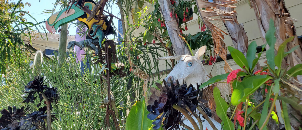 front yard pic