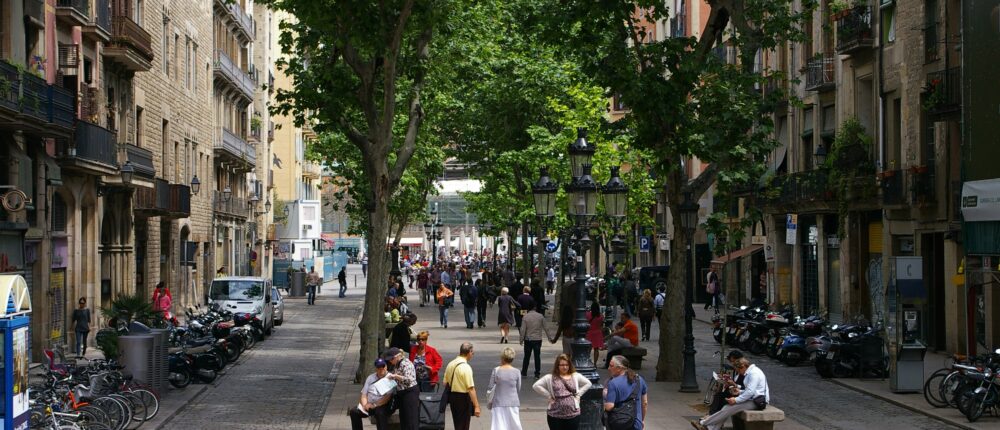 Passeig del Born